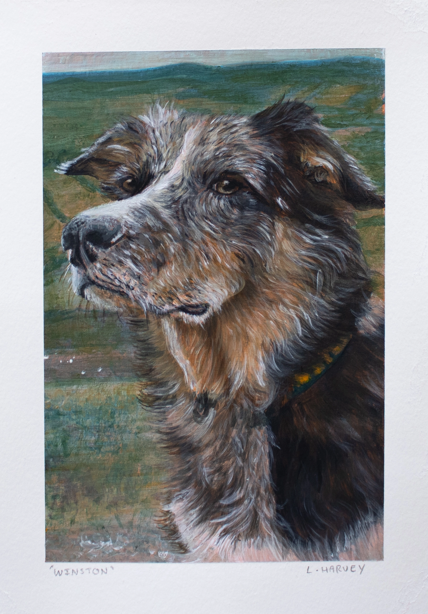 Image of Dog (Winston)